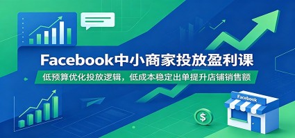 Facebook中小商家投放盈利课：低预算优化投放逻辑，低成本稳定出单提升店铺销售额