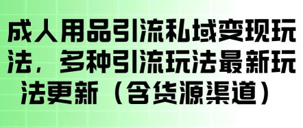 2026年OZON与Wildberries双平台跨境实战课，俄系跨境开店入驻、选品运营、广告投产、物流售后、数据优化全落地课程