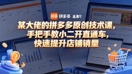 【全网变现首发】新手实操单号日入500+，渠道收益稳定，项目可批量放大【揭秘】