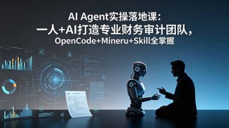 （19037期）AI Agent实操落地课：一人+AI打造专业财务审计团队，OpenCode+Mineru+Skill全掌握