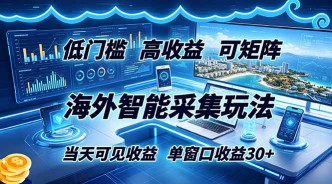 （18955期）海外智能采集玩法，低门槛高单价可矩阵，当天可见收益，单窗口30+
