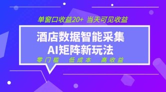 （19041期）2026酒店数据采集ai智能矩阵新风口  低成本   高收益   当天见收益   单窗口20+