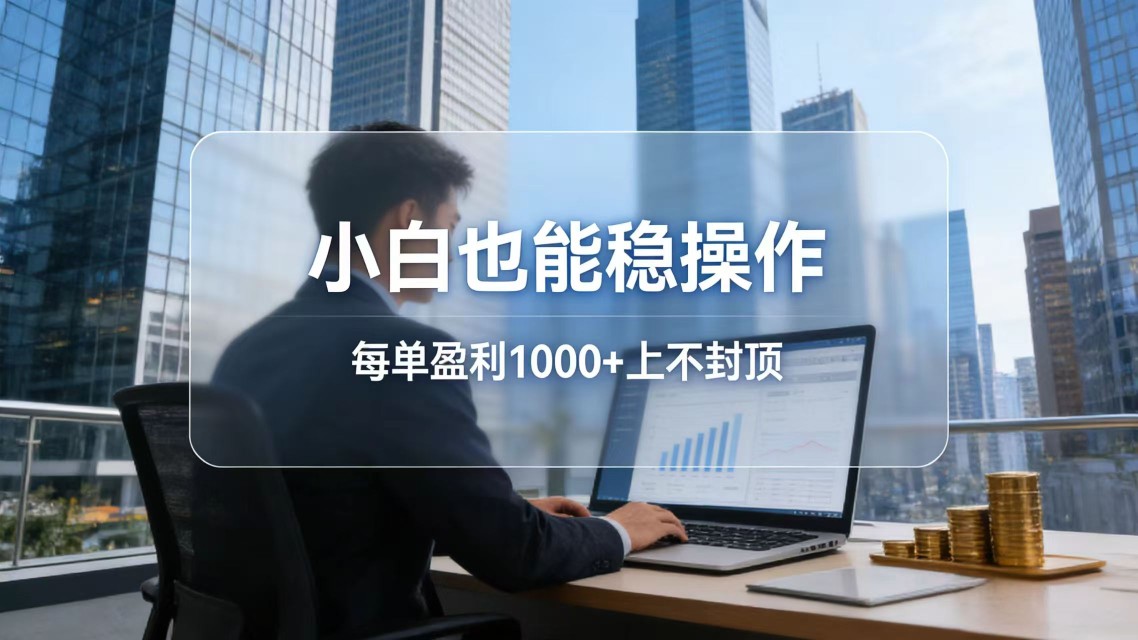 （17508期）2026新项目，小白也能稳操作，每单盈利1000+上不封顶