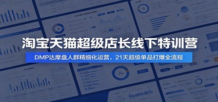 淘宝天猫超级店长线下特训营：DMP达摩盘人群精细化运营，21天超级单品打爆全流程