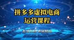 拼多多虚拟资料项目，从起店到出单全套系列教程，从0到1小白也可以轻松上手