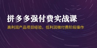 （14874期）拼多多强付费实战课-44期，高利润产品项目经验，低利润微付费阶段操作