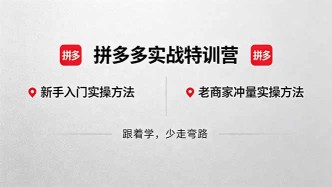 （18309期）拼多多实战特训营(更新5月3)：不管是新手入门或老商家冲量，都有实操方法，跟着学，少走弯路
