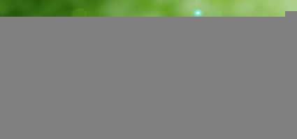 视频号AI树苗带货实操，快速解锁新赛道带货新方式